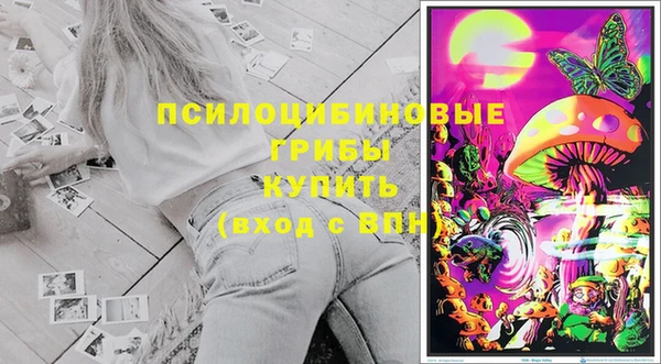 ECSTASY Майский