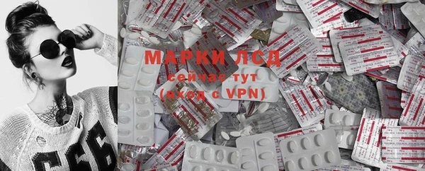 гашик Магадан