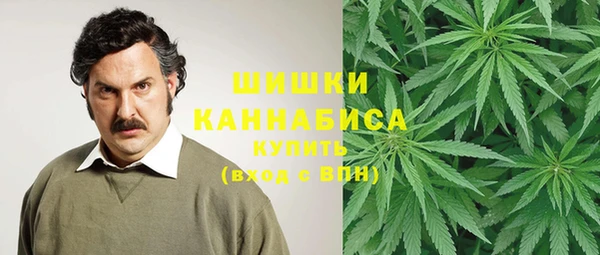 mix Магас